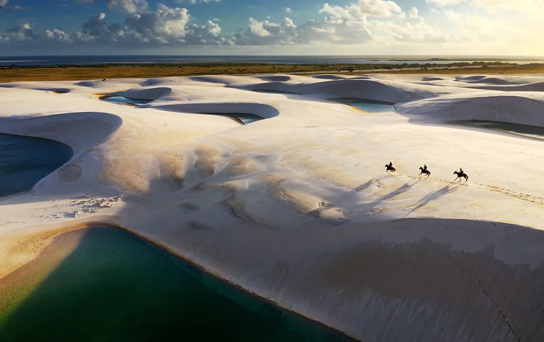 Horses on a sand dune