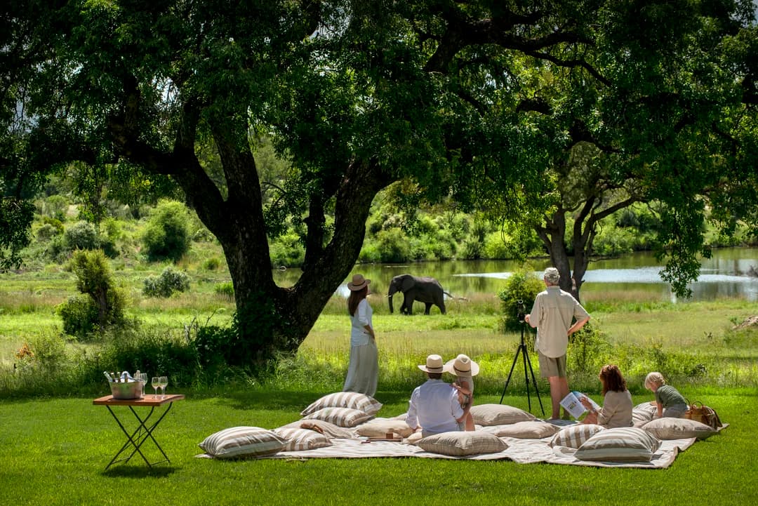 A family on some grass